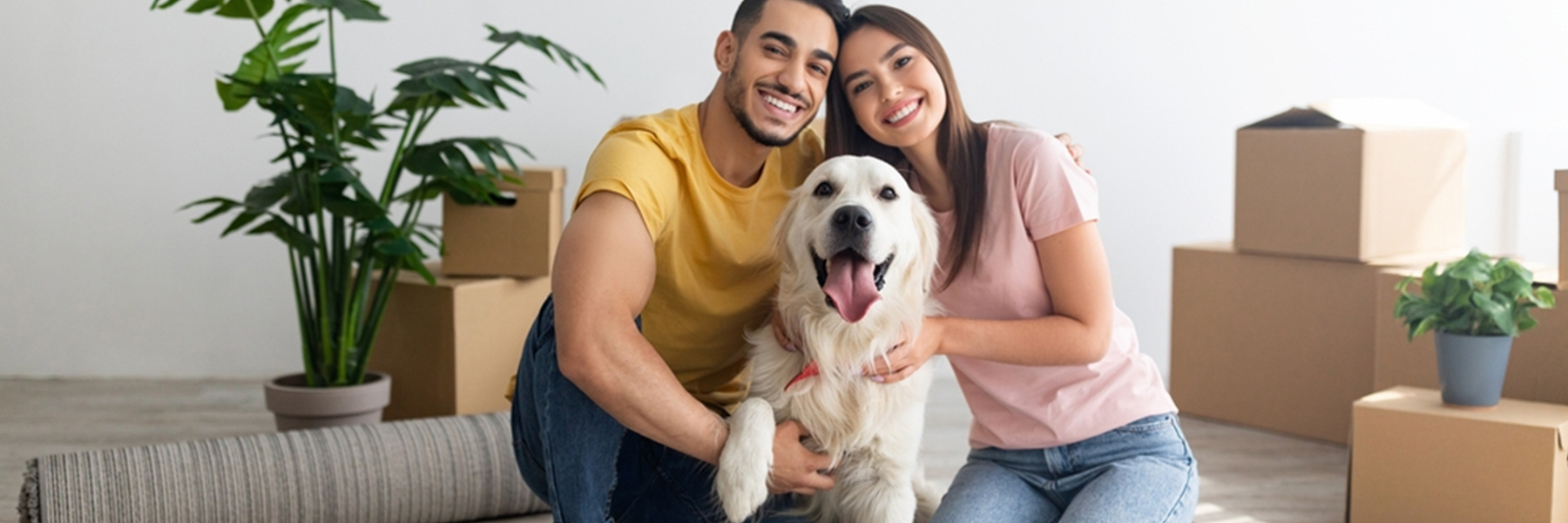 Renting with Pets in the UK: A Guide for Landlords and Tenants