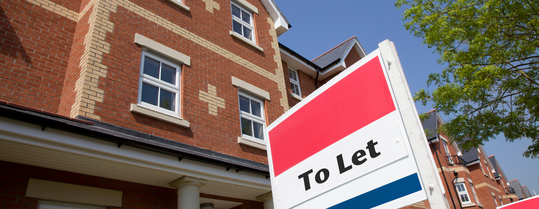 lettings guide for renters